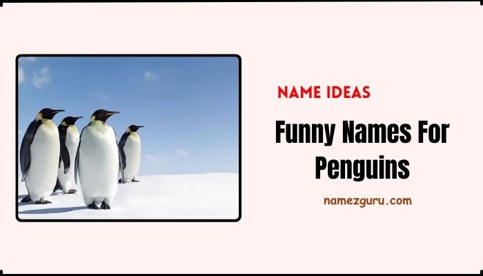 Funny Names For Penguins