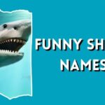 Funny Shark Names